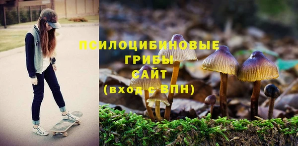 бутират Касимов