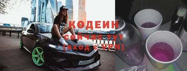 твердый Корсаков