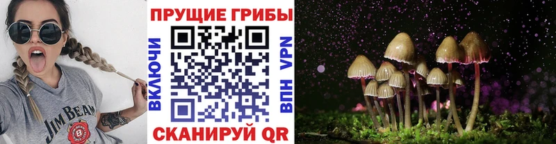 наркотики  Курчатов  Галлюциногенные грибы Magic Shrooms 