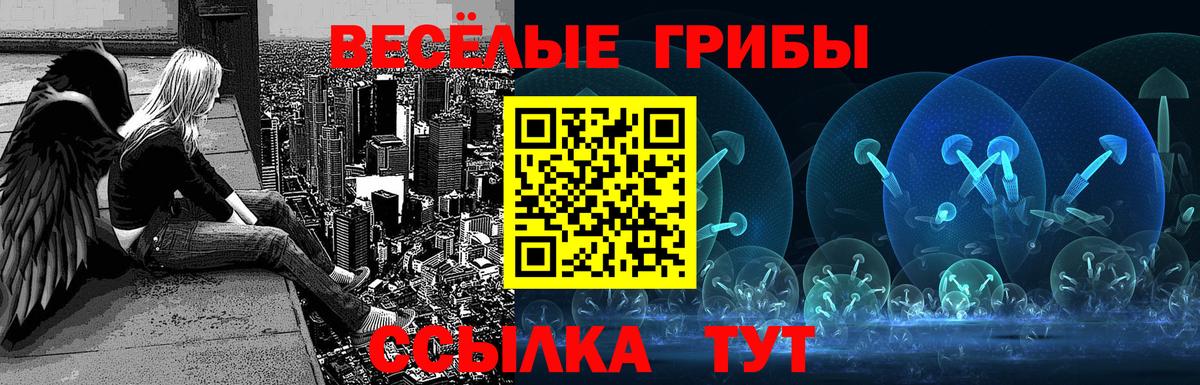Курчатов  купить закладку  Галлюциногенные грибы прущие грибы  Вход с VPN  Галлюциногенные грибы Psilocybine cubensis 