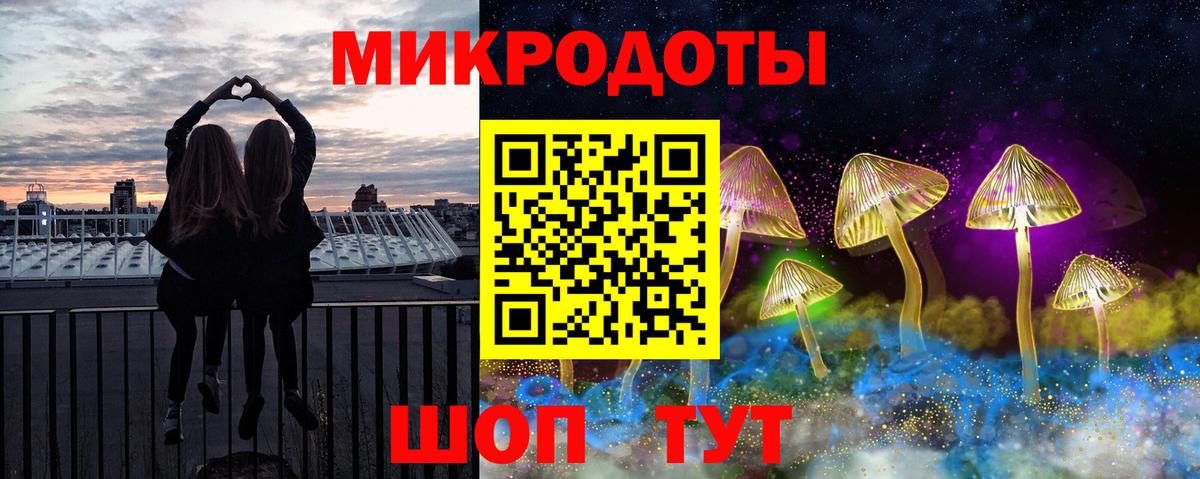 Псилоцибиновые грибы Cubensis Курчатов