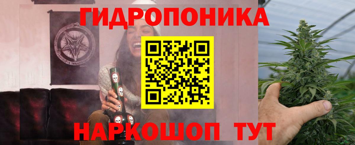 Канабис White Widow  Бошки марихуана THC 21%  Вход с VPN  Канабис семена  Курчатов 